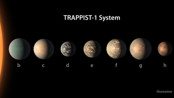 New Clues to Compositions of TRAPPIST-1 Planets