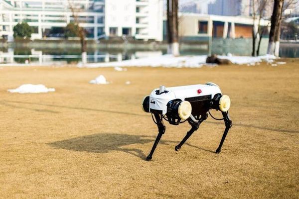 Come meet ZJU's robot dog 