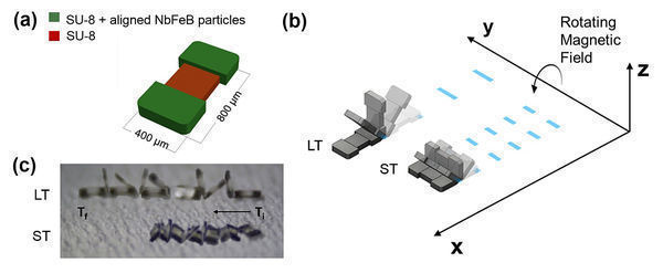 All-terrain microbot moves by tumbling over complex topography