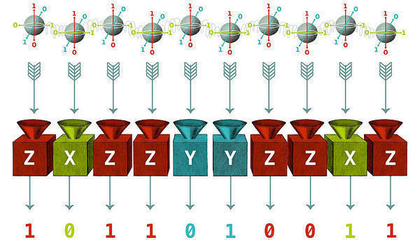 Fingerprints of quantum entanglement