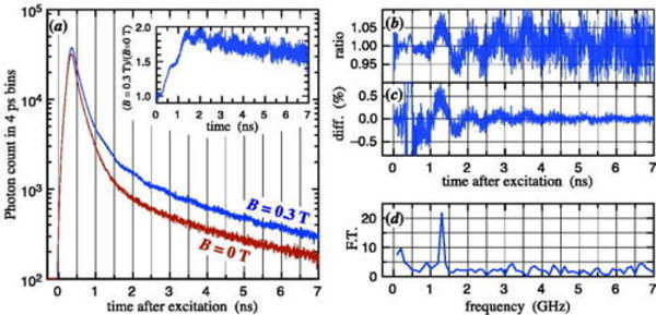 Quantum beats of a multiexciton state in rubrene single crystals