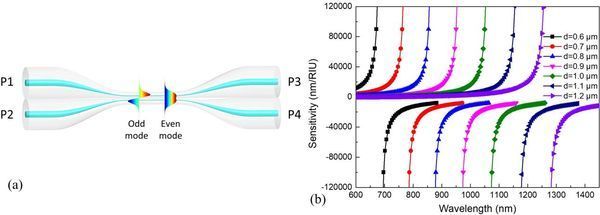 CIOMP researchers developed an ultrasensitive label-free microfiber coupler biosensor