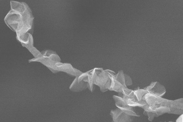 Inspired by nature: Design for new electrode could boost supercapacitors' performance