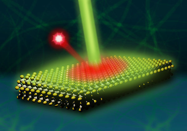 Two for the Price of One: Towards Quantum Entanglement with a Single Nanoplate