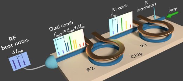 Dual Frequency Comb Generated on a Single Chip Using a Single Laser