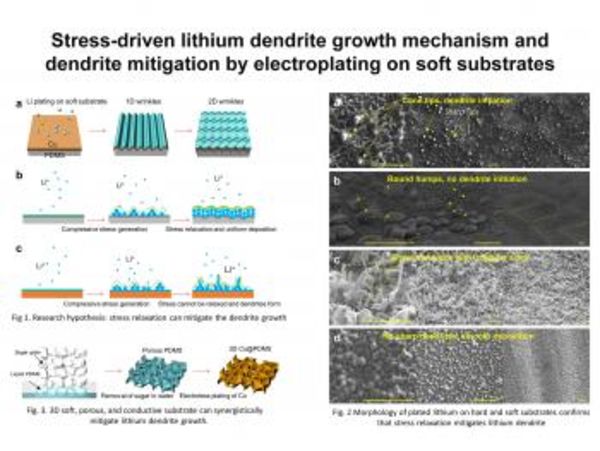 Lithium-related discovery could extend battery life, improve safety