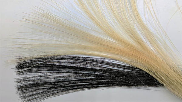 Graphene finds new application as non-toxic, anti-static hair dye