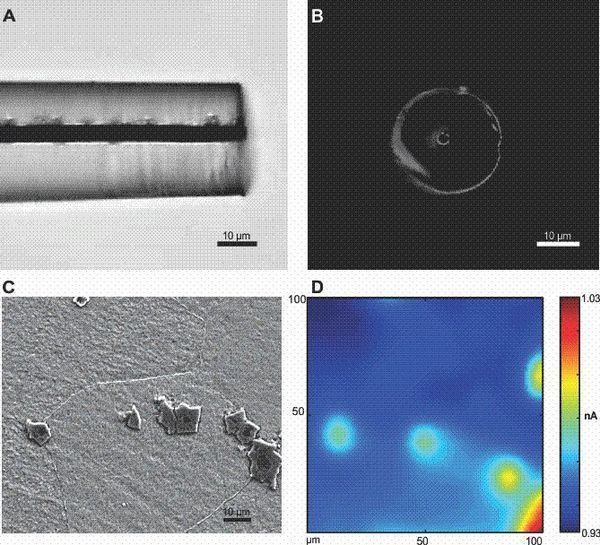 Linking Localized Corrosion of Stainless Steel to Titanium