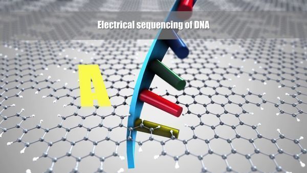 One step closer to using nanoporous graphene in smart filters and sensors