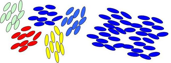 Research reveals how order first appears in liquid crystals