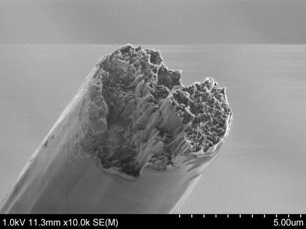 World's strongest bio-material outperforms steel and spider silk