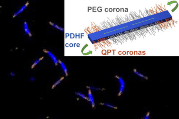 Polymer crystals hold key to record-breaking energy transport