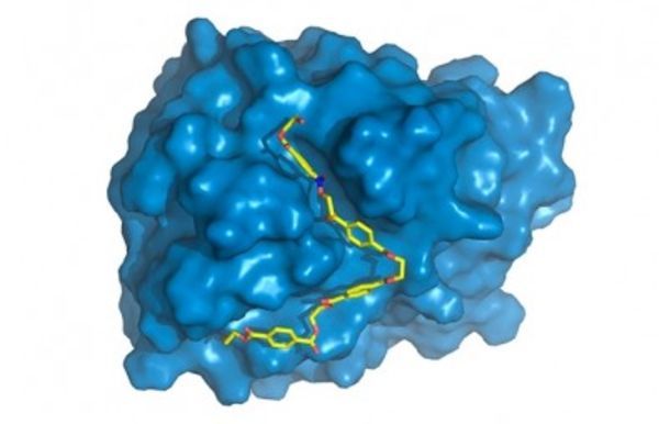 Research enhances enzyme that degrades plastic