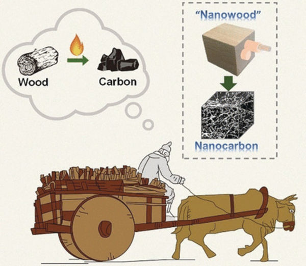 Wood to Supercapacitors