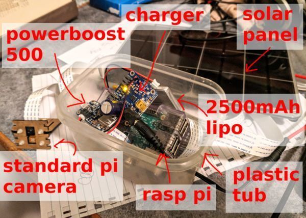 counting bees on a rasp pi with a conv net