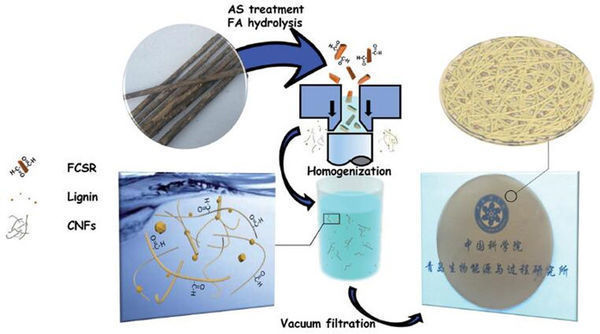 Researchers Fabricate New Type of Cellulose Nanopaper