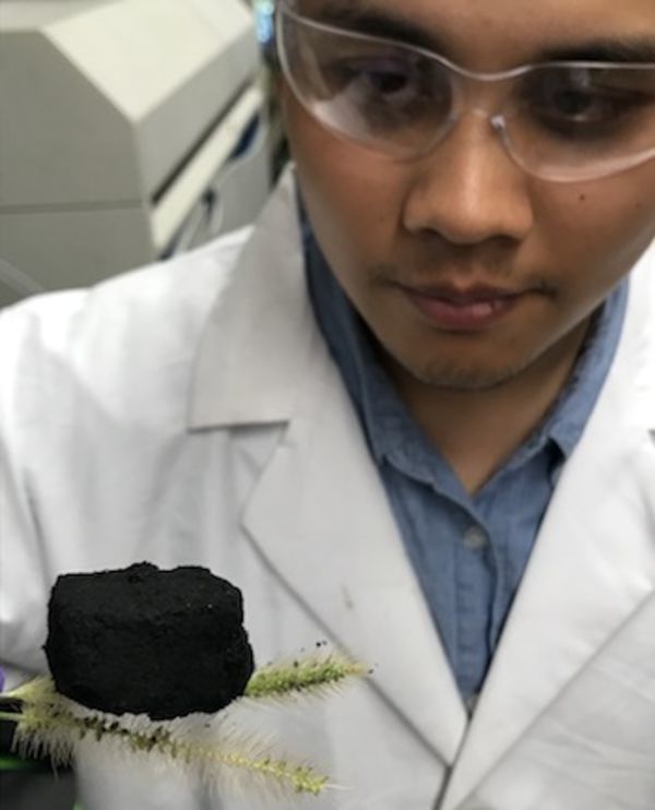 Sculpting with graphene foam