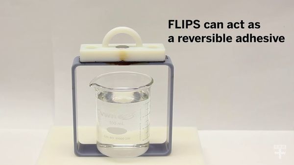 A multifunctional, multiscale, reconfigurable surface