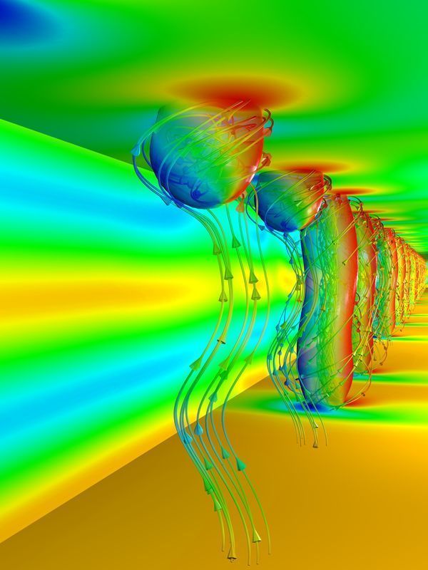 Magnetic skyrmions: Not the only ones of their class