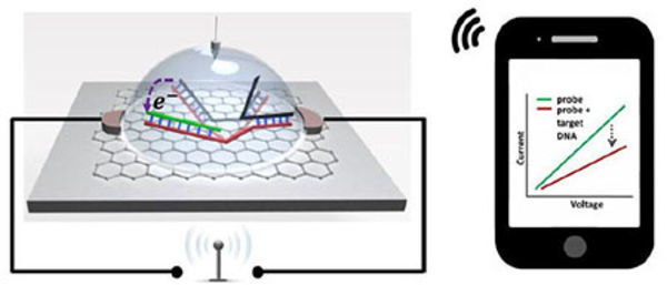 Biosensor Chip Detects Single Nucleotide Polymorphism Wirelessly and With Higher Sensitivity