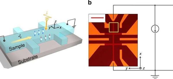 A step closer to quantum computers: NUS researchers show how to directly observe quantum spin effects