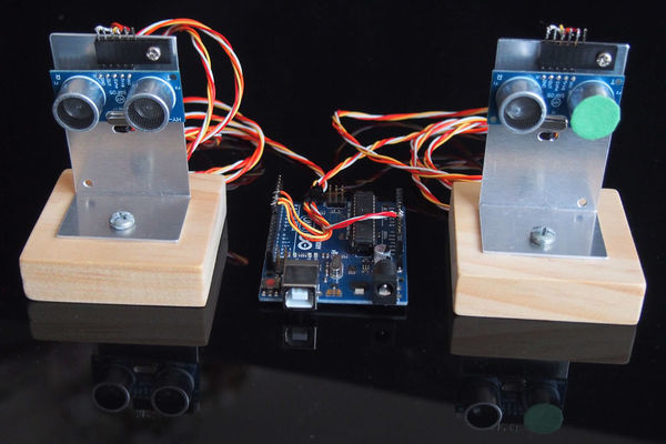 Dual Sensor Echo Locator