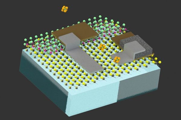 Cell-sized robots can sense their environment