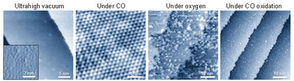 Visualizing Chemical Reaction on Bimetal Surfaces