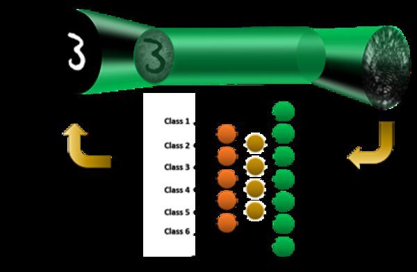 Machine Learning Technique Reconstructs Images Passing through a Multimode Fiber