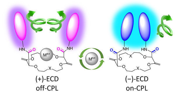 Molecular switch detects metals in the environment