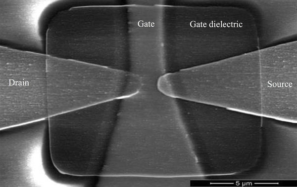 Squishy Transistors for Shark-Like Electrical Sensors