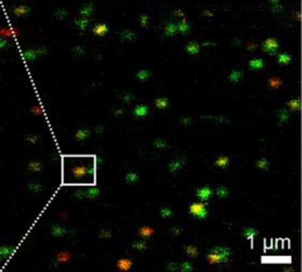 Molecular machines at work