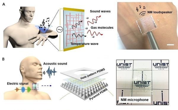 Transparent Loudspeakers and MICs that Let Your Skin Play Music