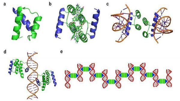 Scientists Make New 'Green' Electronic Polymer-Based Films with Protein Nanowires