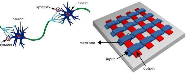 Understanding the building blocks for an electronic brain