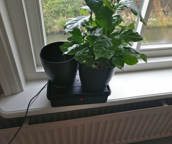 ESP8266 Smart Plant