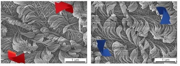 New Materials: Growing Polymer Pelts