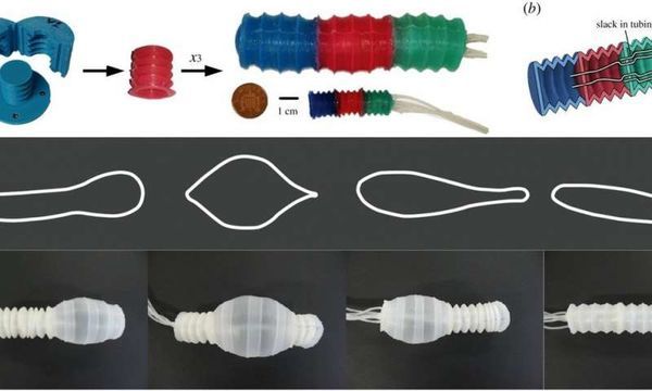 EuMoBot: Replicating euglenoid movement in a soft robot