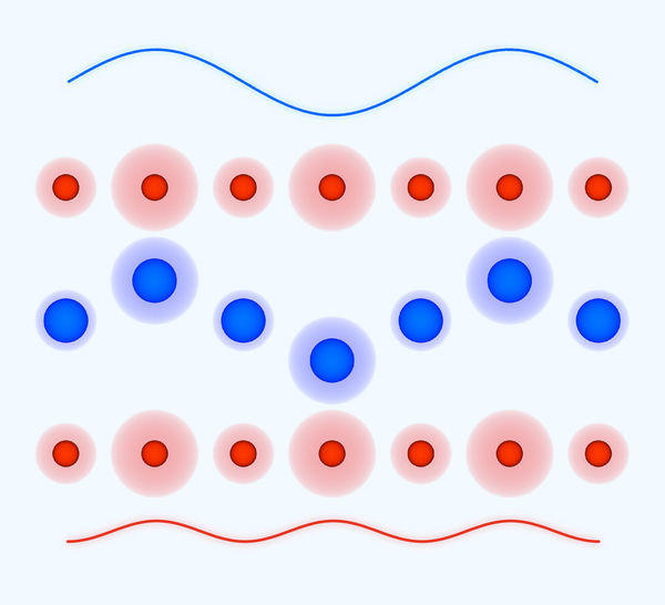 Terahertz laser pulses amplify optical phonons in solids