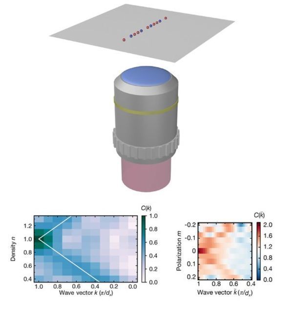 Stretched Quantum Magnetism Uncovered by Quantum Simulation