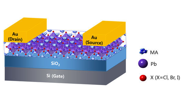 Technique Allows Integration of Single-Crystal Hybrid Perovskites Into Electronics