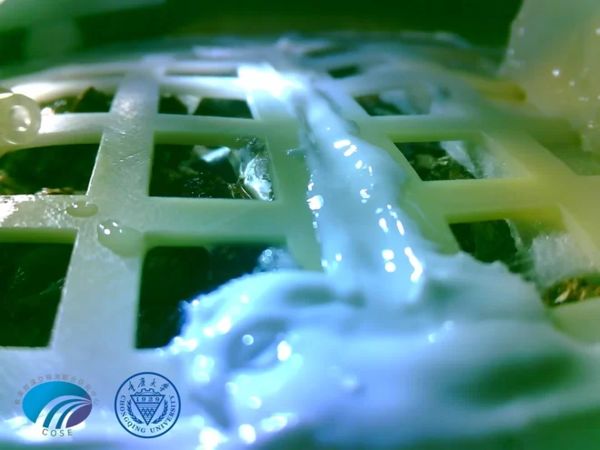 China's Moon Plants Are Dead