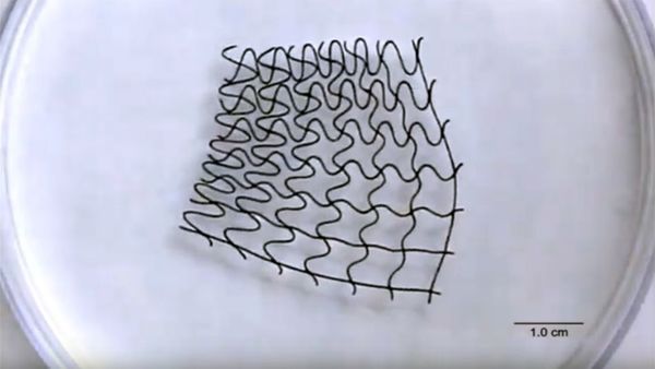 3D-Printed Soft Mesh Robots Created