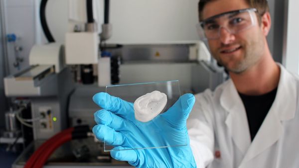 Ears from the 3D-printer