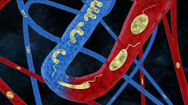 Smart microrobots that can adapt to their surroundings