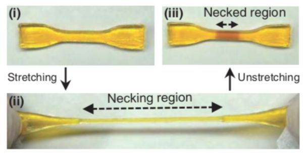 Self-growing materials that strengthen in response to force