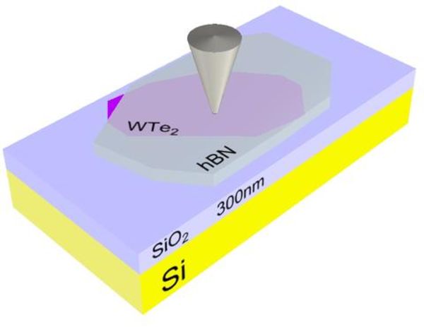 Scientists image conducting edges in a promising 2-D material