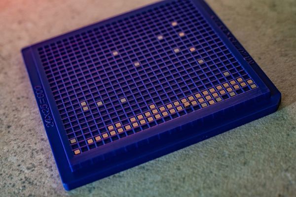 Rice U. researchers unveil Internet of Things security feature