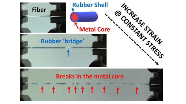 Researchers Engineer a Tougher Fiber