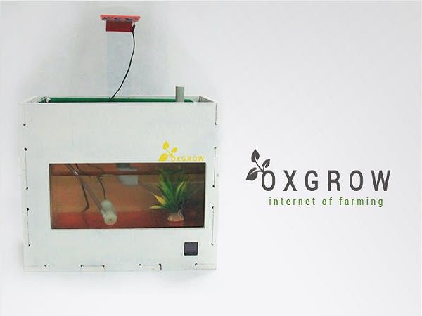 OXGROW: Smart Aquaponics System